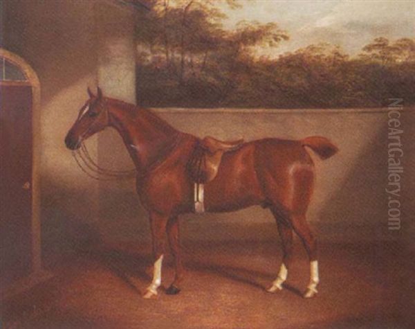 A Horse In The Yard Oil Painting by James Clark