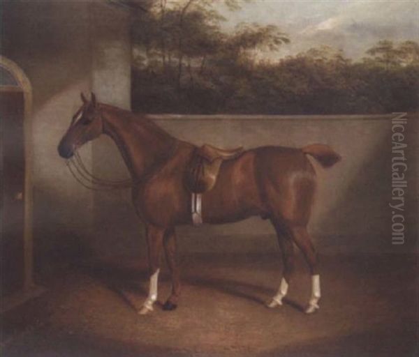 A Horse In The Yard Oil Painting by James Clark