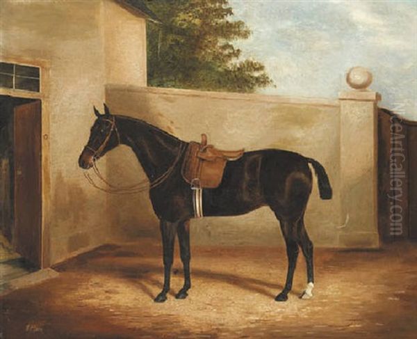 A Lady's Hunter Outside A Stable Oil Painting by James Clark