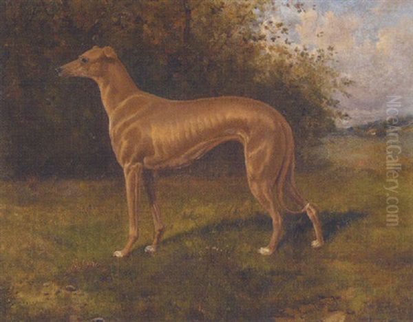 Greyhound In A Landscape Oil Painting by James Clark