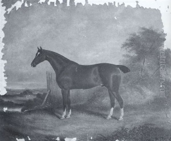 Portrait Of A Bay Hunter Standing In A Landscape Oil Painting by James Clark