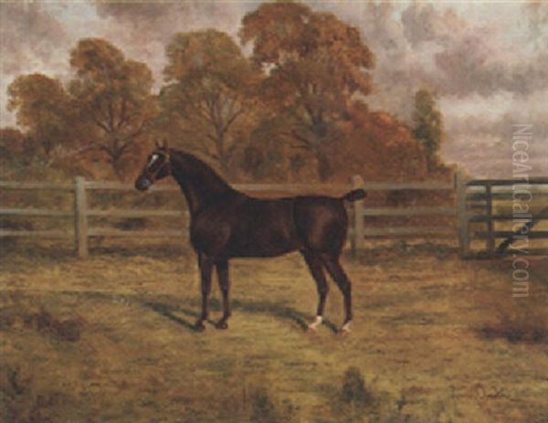 A Liver Chestnut Hunter In A Paddock Oil Painting by James Clark