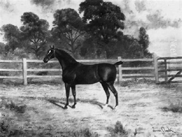 A Dark Bay Stallion In A Paddock Oil Painting by James Clark