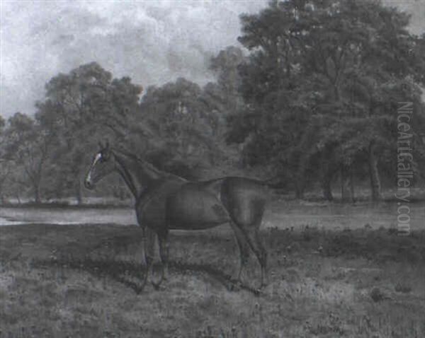 A Chestnut Hunter Oil Painting by James Clark