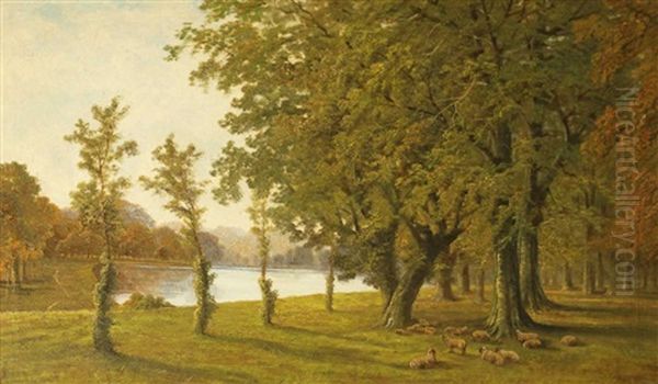 Woodland Scene, With Sheep Resting In The Shade By A River Oil Painting by Octavius Thomas Clark