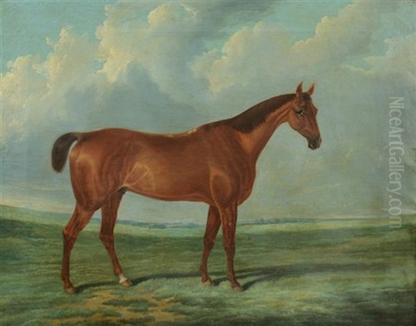 Portrait Of A Horse Oil Painting by Samuel Joseph Clark