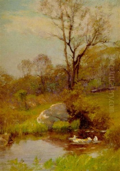 Ducks On A Pond Oil Painting by Walter Clark