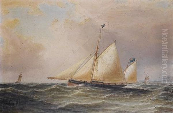 The Celebrated Racing Yawl 'julia' R.y.s Oil Painting by William Clark