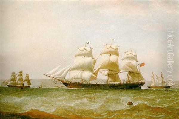 The Clipper 