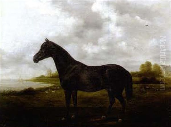 Portrait Of A Stallion In A Landscape Oil Painting by Frederick Clarke