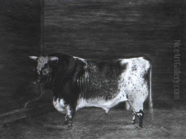 A Prize Shorthorn Bull In A Stable Oil Painting by Frederick Clarke