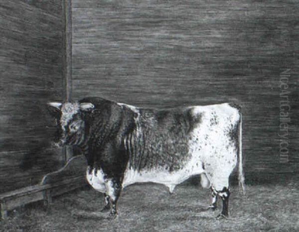 A Short Horn Bull Oil Painting by Frederick Clarke