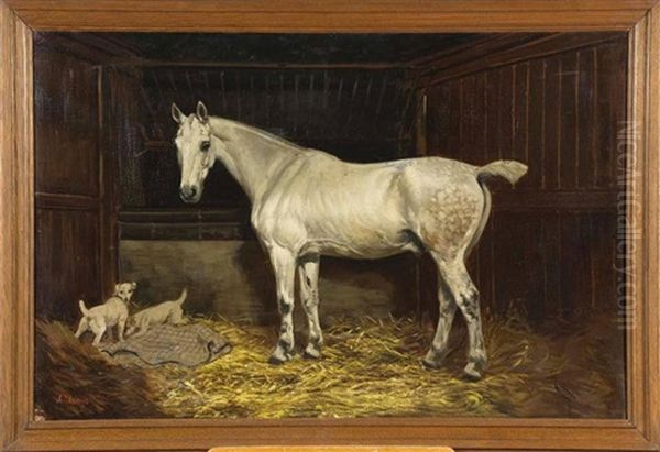 Cheval Blanc Et Deux Chiens A L'ecurie Oil Painting by Alexandre Clarys