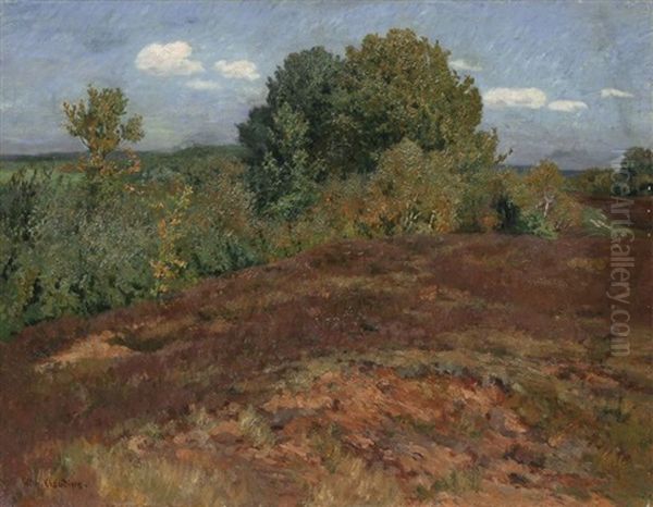 Sommer In Der Heide Bei Amelinghausen (?) Oil Painting by Wilhelm Ludwig Heinrich Claudius