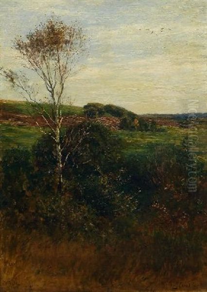 Landschaft Mit Birke Oil Painting by Wilhelm Ludwig Heinrich Claudius