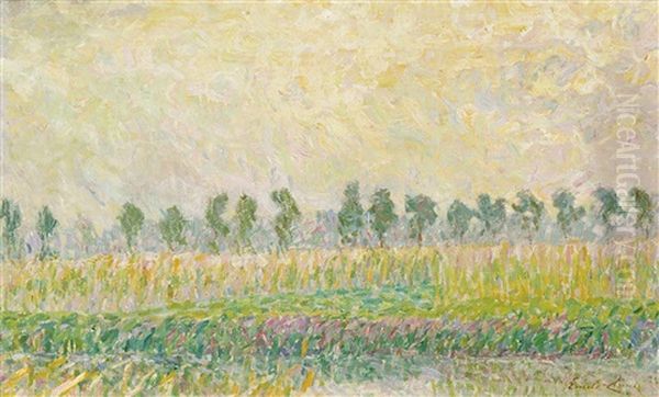 Paysage Ensoleille Oil Painting by Emile Claus