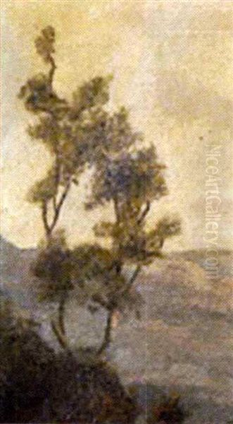 Bosque Con Rio Oil Painting by Joaquin Clausell