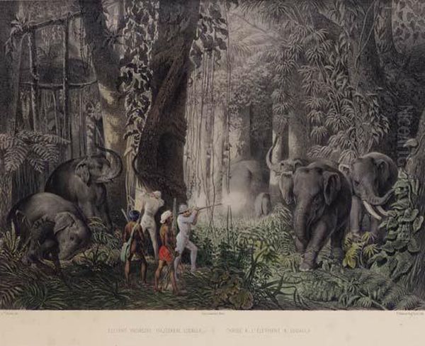 Reise ... In Ostindien, Ceylon, Java, China Und Bengalen. Pest:hermann Geibel, 1859. Oil Painting by Graf Emanuel Andrasy