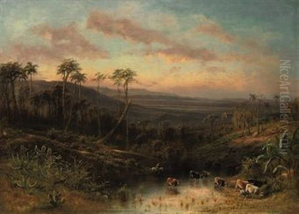 Cuban Landscape, Cattle Watering At A Pool In The Foreground Oil Painting by Henry Cleenewerck