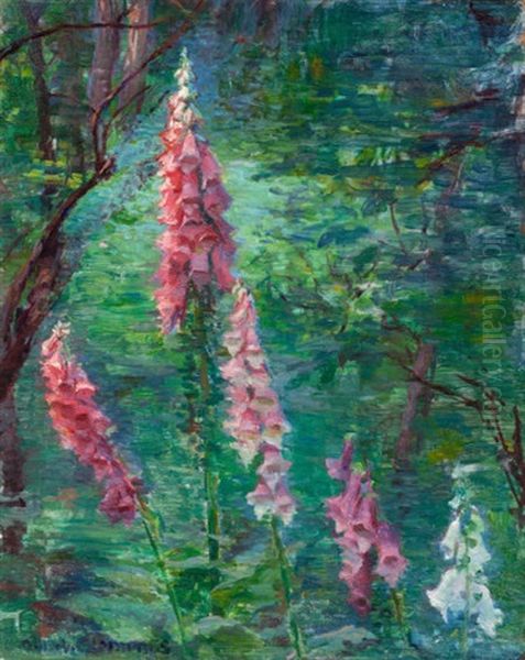 Forest Interior And Foxgloves (double-sided) Oil Painting by George Henry Clements