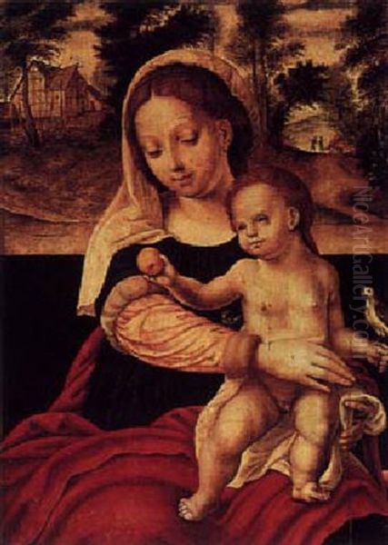 The Madonna And Child Seated With A Parrot Oil Painting by Joos Van Cleve