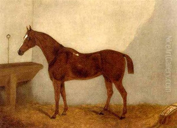 A Chestnut Horse In A Stable (+ A Black Horse In A Stable; Pair) Oil Painting by F. Clifton