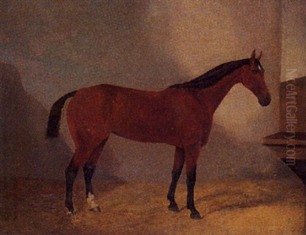 Caballo Oil Painting by F. Clifton