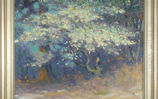 The Dogwood And Pine Tree Oil Painting by William Baxter Closson