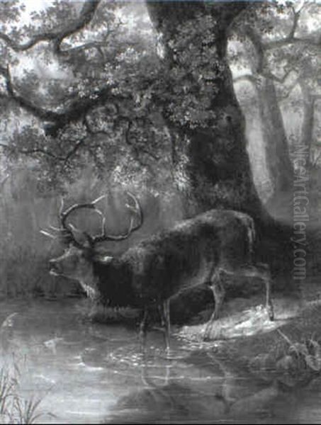 Elk Oil Painting by George Lafayette Clough