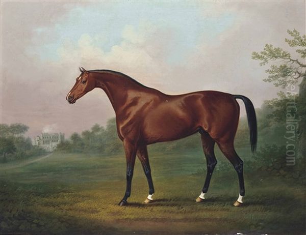 A Bay Hunter Standing Before Eaton Hall, Cheshire Oil Painting by Daniel Clowes