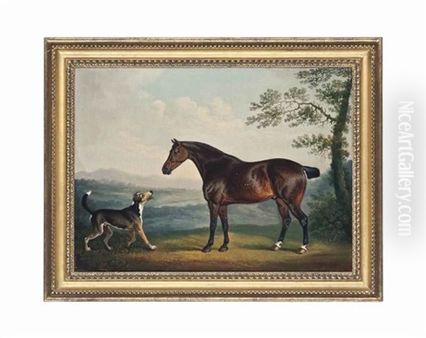 A Horse And A Hound In A Wooded Landscape Oil Painting by Daniel Clowes