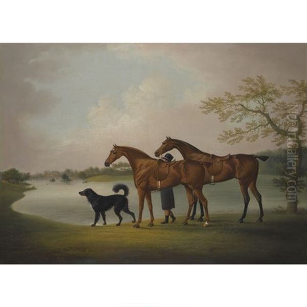 A Pair Of Hunters Held By A Groom, With A Newfoundland Dog, By A Lake Oil Painting by Daniel Clowes