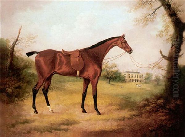 A Saaddled Bay Hunter In The Grounds Of Bryn-y-pys, Flintshire Oil Painting by Daniel Clowes