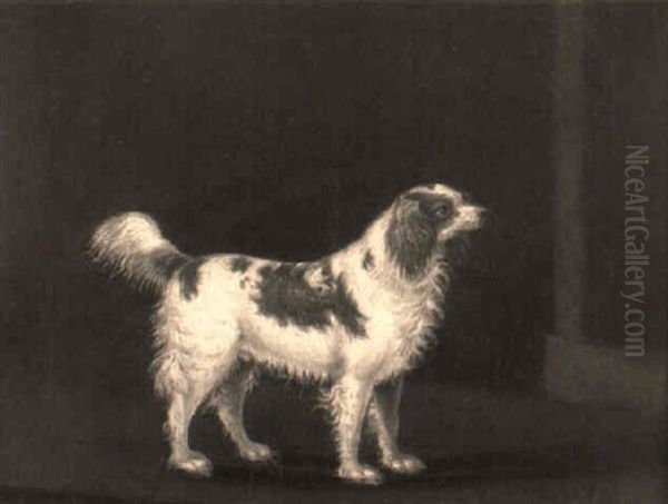 A Marlborough Spaniel In An Interior Oil Painting by Daniel Clowes