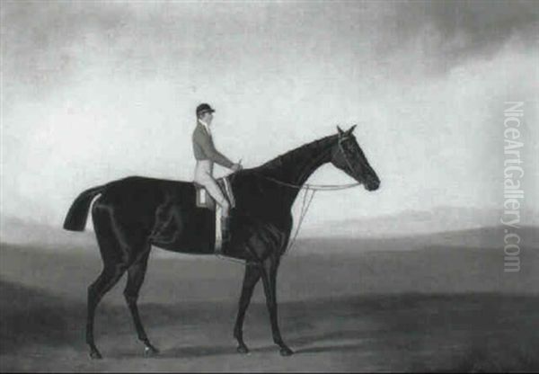 Dark Bay Racehorse With Jockey Up Oil Painting by Daniel Clowes