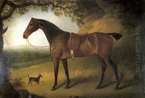 A Dark Bay Hunter Saddled Up And Tethered To A Tree, With A Terrier Oil Painting by Daniel Clowes