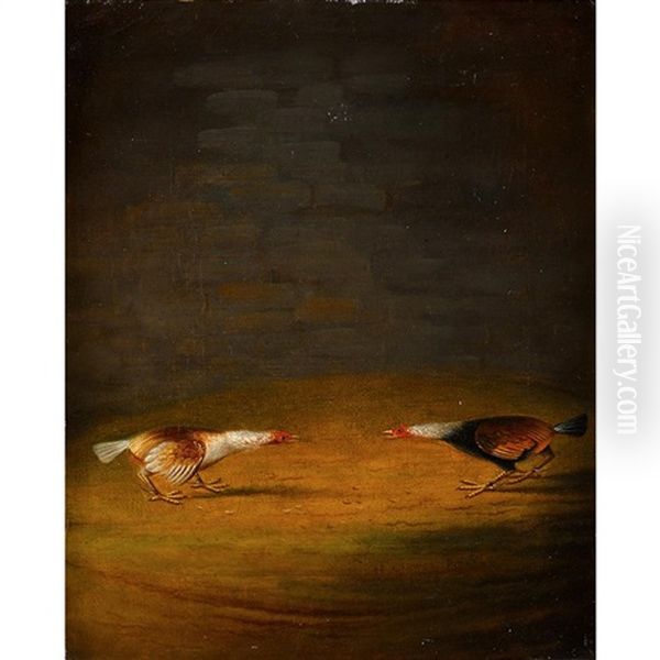 Cock Fights (pair) Oil Painting by Henry Clowes