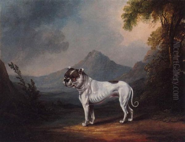 Portrait Of The Bulldog Ball In A Landscape Oil Painting by Henry Clowes