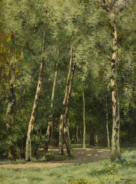 Sunny Forest Oil Painting by William Clusmann