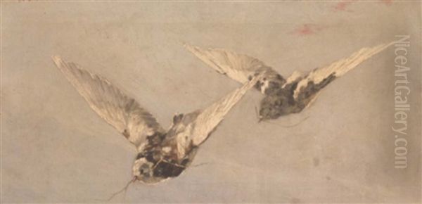 Birds In Flight Oil Painting by William Clusmann