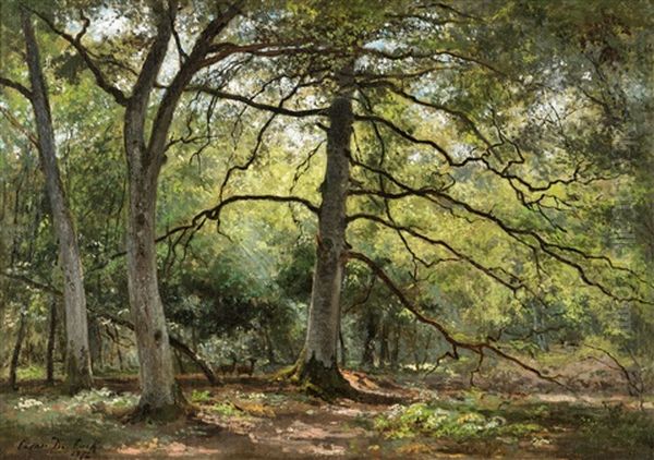 Forest View Oil Painting by Cesar De Cock