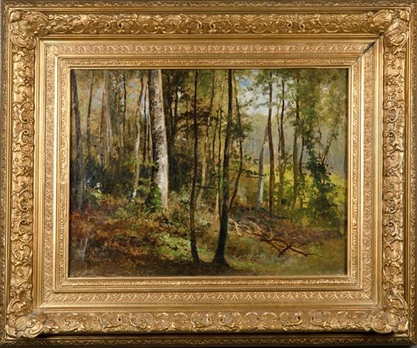 Forest In Belgium Oil Painting by Cesar De Cock