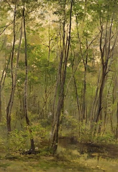 Sous Bois Oil Painting by Cesar De Cock