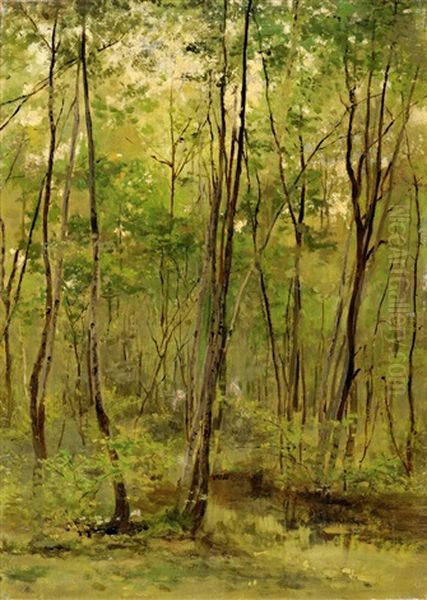 Sous Bois Oil Painting by Cesar De Cock