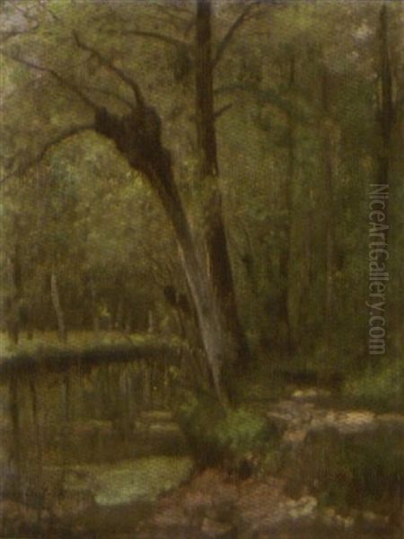 Rivier In Het Bos Oil Painting by Cesar De Cock