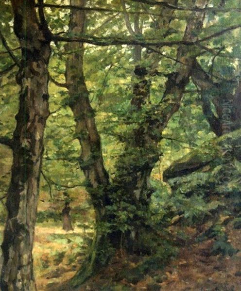 Sous-bois Anime Oil Painting by Cesar De Cock