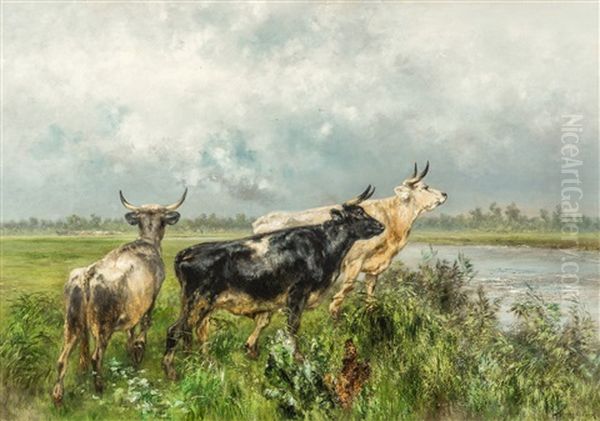 Cows By The River Lys Oil Painting by Xavier De Cock