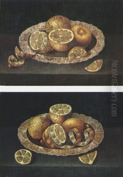 Piatto Di Limoni (+ Piatto Di Limoni; Pair) Oil Painting by Francesco Codino