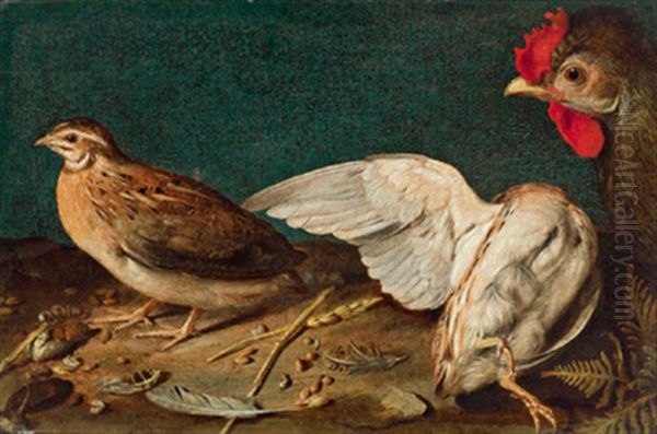 Ein Huhn, Eine Wachtel Und Ein Anderer Vogel Oil Painting by Francesco Codino