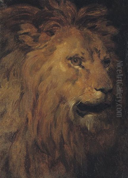 Head Of A Lion In Profile Oil Painting by Leon Cogniet